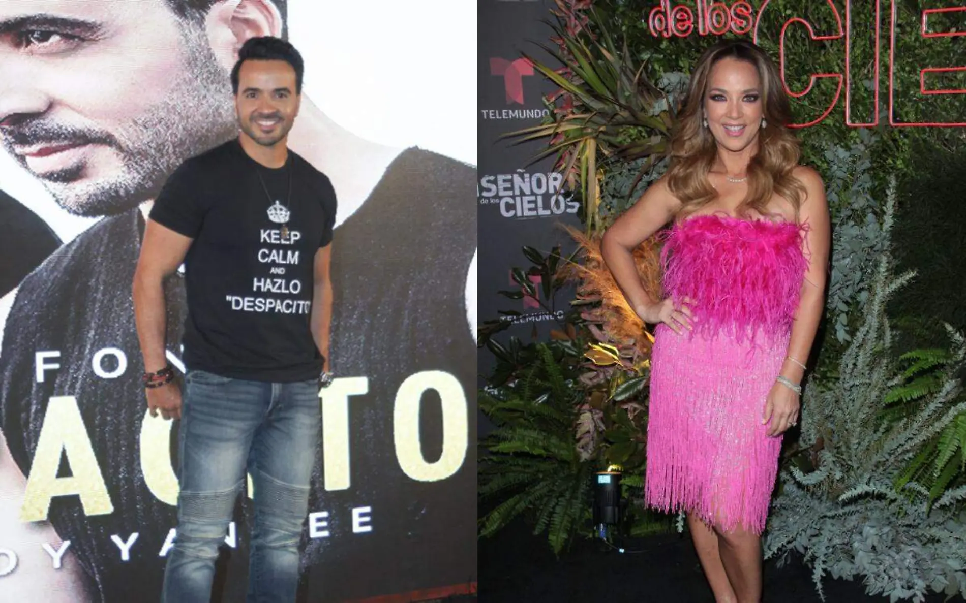 Luis Fonsi y Adamari Lopez(1)